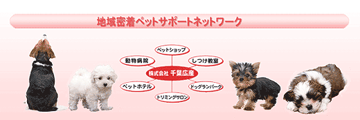 ペットと暮らす賃貸物件